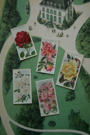 画像1: 再入荷　cigarettes card／シガレットカード【ROSES Second Series of 50】 1914