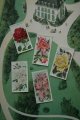 再入荷　cigarettes card／シガレットカード【ROSES Second Series of 50】 1914