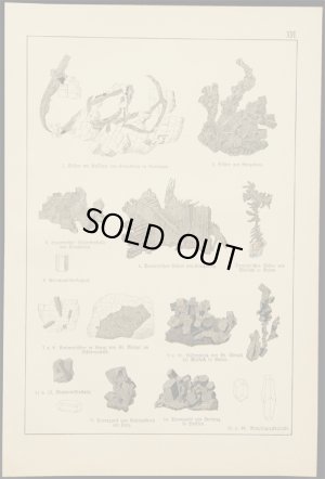 画像1: mineral illustration／鉱物画 XVI.