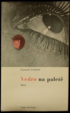 画像1: Frantisek Nechvatal/フランティシェク・ネフヴァーティル【Vedro na palete】