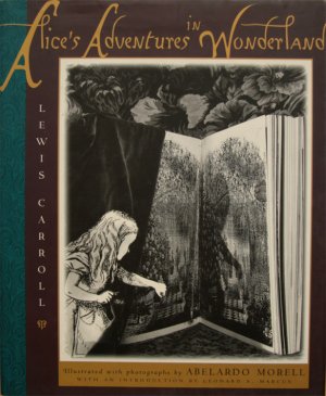 画像1: Abelardo Morell ／アベラルド・モレル【Alice's Adventures in Wonderland】