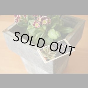画像: cigarettes card／シガレットカード【Flower Culture in  Pots】