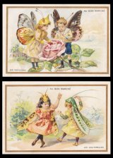 画像: Chromo Card／クロモカード【Les Papillons】【Les Sauterelles】Bon Marche