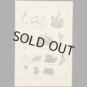 画像: mineral illustration／鉱物画 XVI.