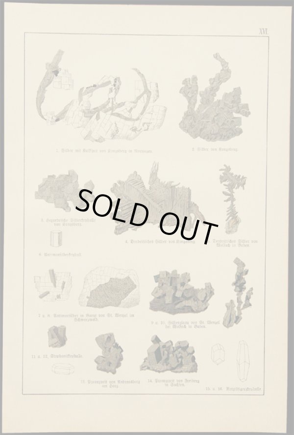 画像1: mineral illustration／鉱物画 XVI.