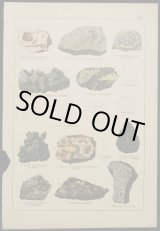 画像: mineral illustration／鉱物画 XIX.