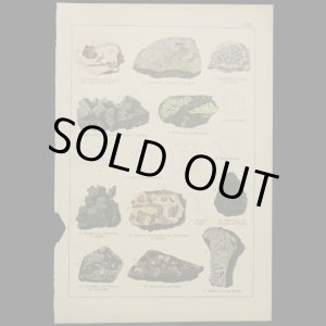 画像: mineral illustration／鉱物画 XIX.