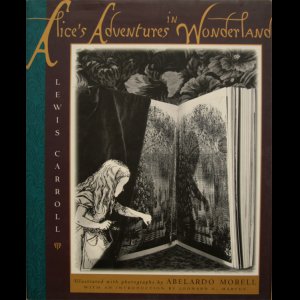 画像: Abelardo Morell ／アベラルド・モレル【Alice's Adventures in Wonderland】