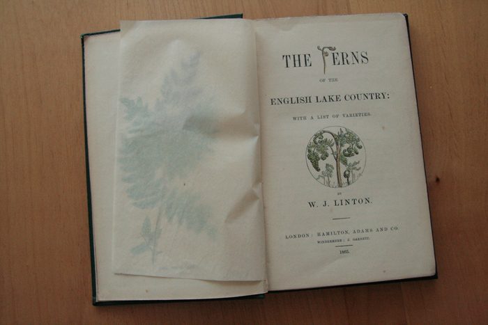 画像: Linton W.J. 【THE FERNS OF THE ENGLISH LAKE COUNTRY】