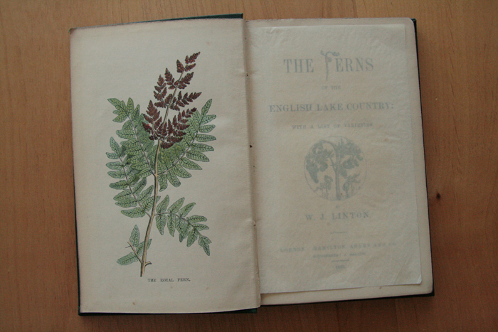 画像: Linton W.J. 【THE FERNS OF THE ENGLISH LAKE COUNTRY】