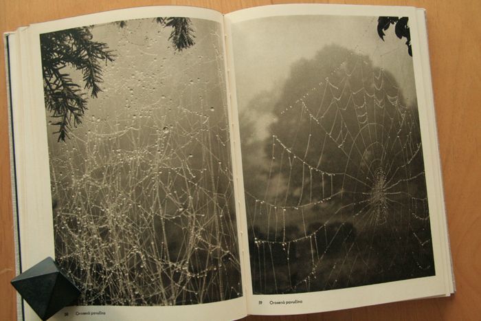 画像: 再入荷　Josef Sudek／ヨゼフ・スデク【Fotografie】