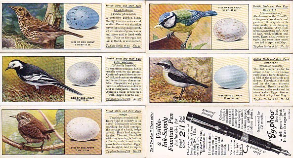 画像: tea card／ティーカード【British Birds and Their Eggs】