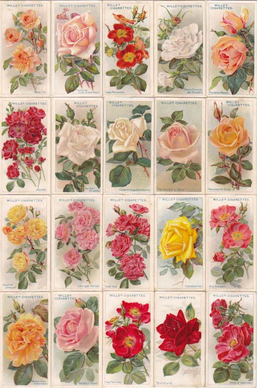 画像: cigarettes card／シガレットカード【ROSES】1912