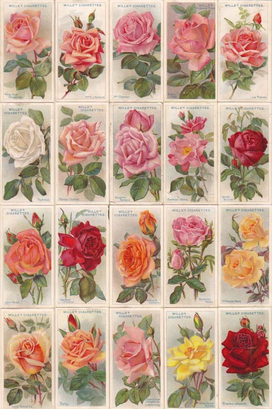 画像: cigarettes card／シガレットカード【ROSES】1912