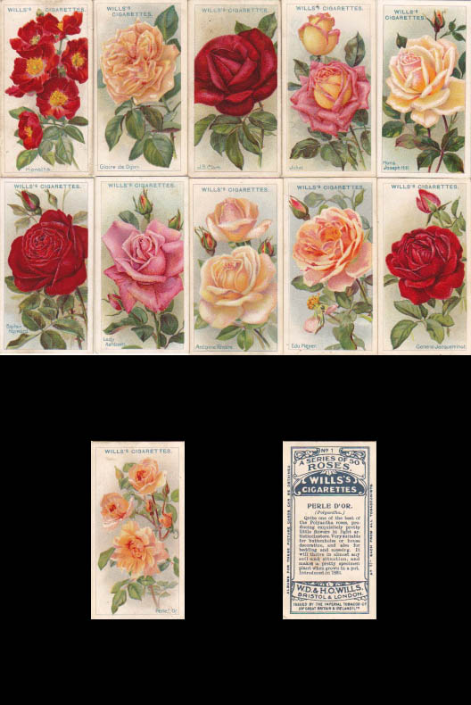 画像: cigarettes card／シガレットカード【ROSES】1912
