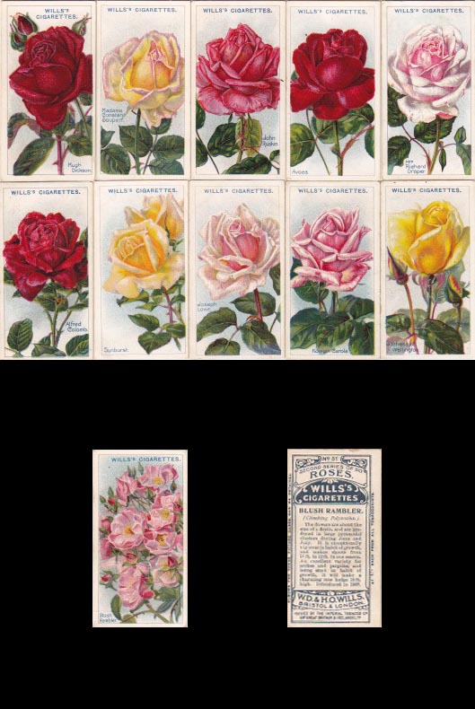 画像: cigarettes card／シガレットカード【ROSES Second Series of 50】 1913