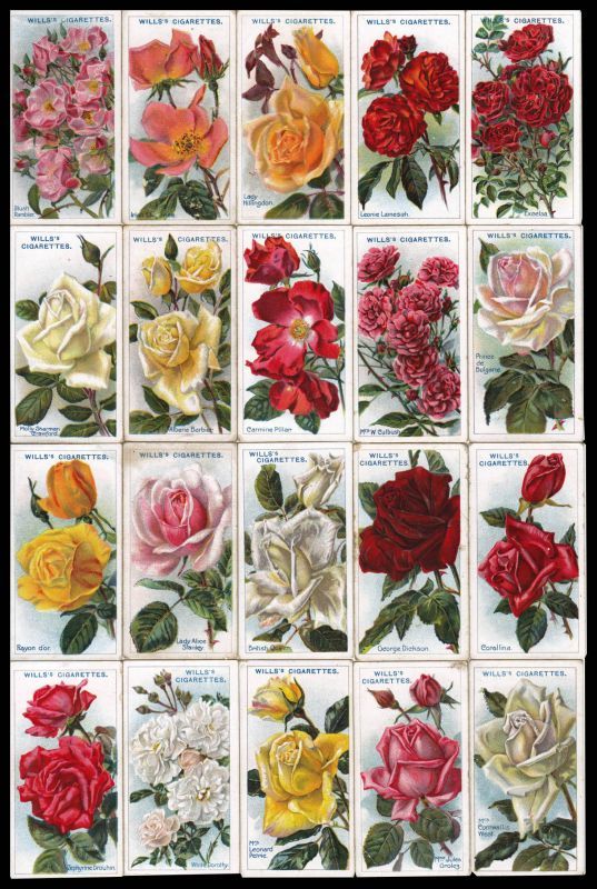 画像: 再入荷　cigarettes card／シガレットカード【ROSES Second Series of 50】 1914