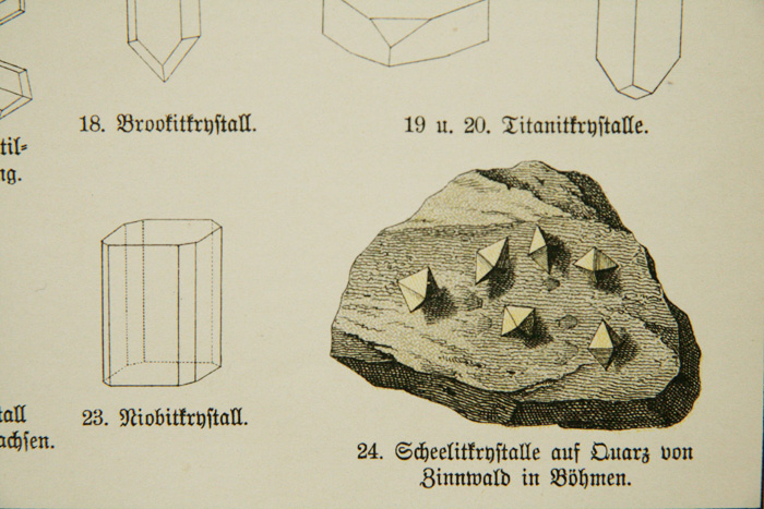 画像: mineral illustration／鉱物画 XXIII.