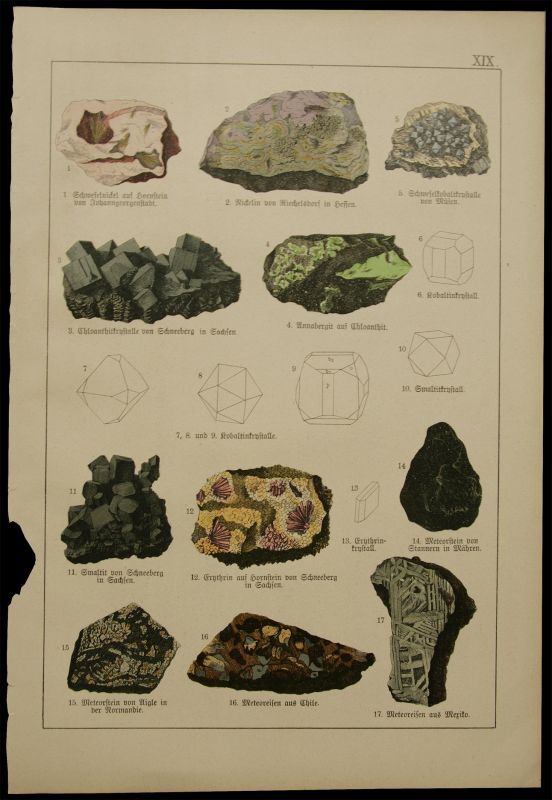 画像1: mineral illustration／鉱物画 XIX.