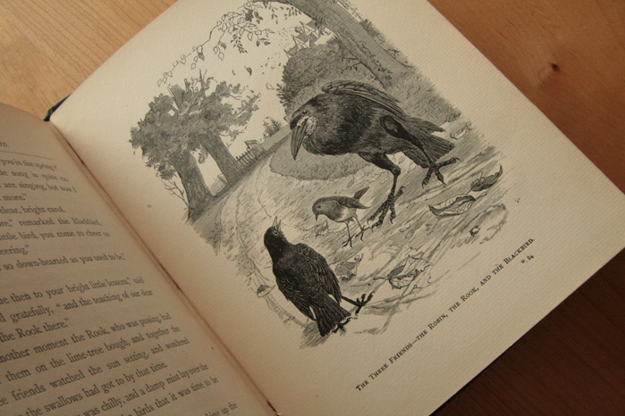 画像: Randolph Caldecott／ランドルフ・コールデコット【WHAT THE BLACKBIRD SAID】