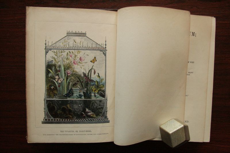 画像: H. Noel Humphreys【THE BUTTERFLY VIVARIUM ; or INSECT HOME】