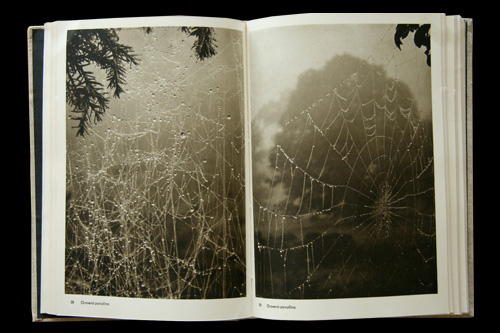 画像: 再入荷　Josef Sudek／ヨゼフ・スデク【Fotografie】