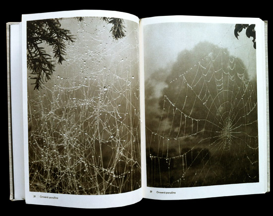 画像: 再入荷　Josef Sudek／ヨゼフ・スデク【Fotografie】