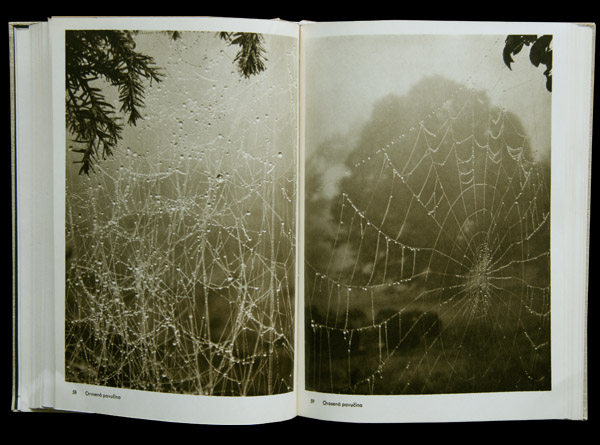 画像: 再入荷　Josef Sudek／ヨゼフ・スデク【Fotografie】