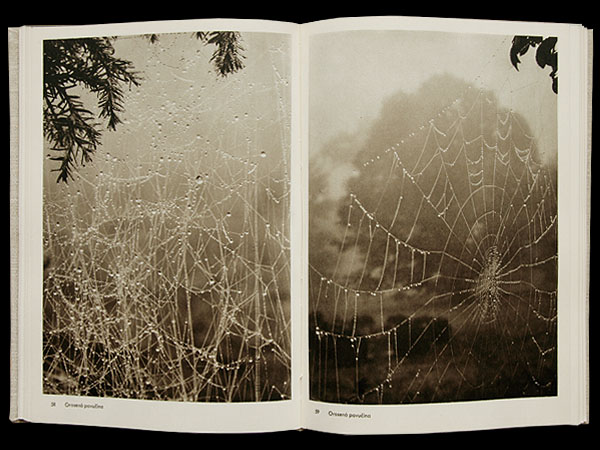 画像: 再入荷　Josef Sudek／ヨゼフ・スデク【Fotografie】