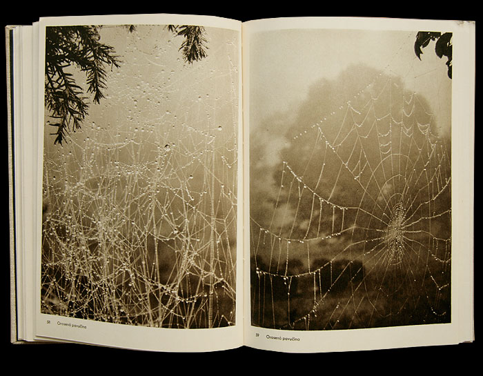 画像: 再入荷　Josef Sudek／ヨゼフ・スデク【Fotografie】ジャケット欠