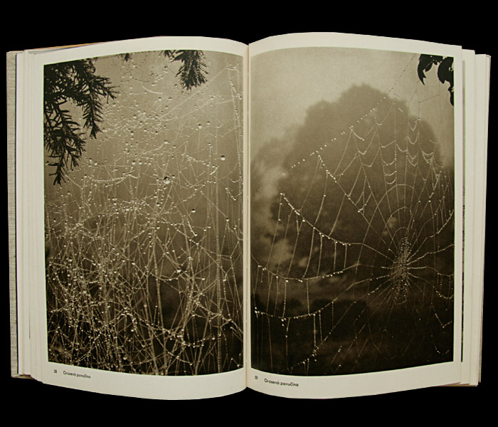 画像: 再入荷　Josef Sudek／ヨゼフ・スデク【Fotografie】