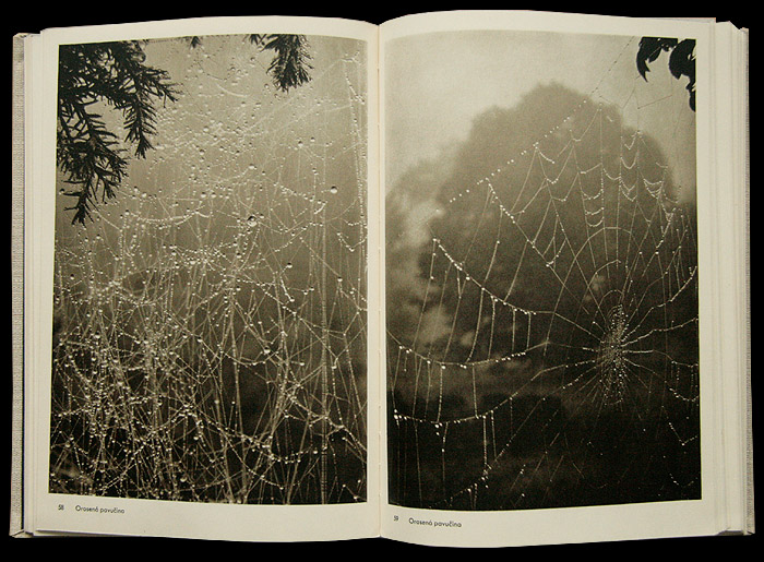 画像: 再入荷　Josef Sudek／ヨゼフ・スデク【Fotografie】ジャケット欠