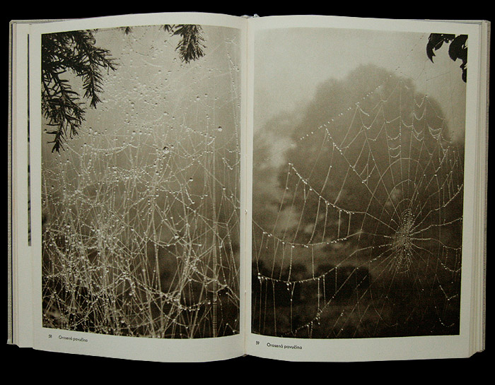 画像: 再入荷　Josef Sudek／ヨゼフ・スデク【Fotografie】