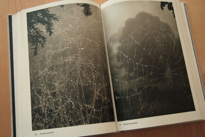 画像: 再入荷　Josef Sudek／ヨゼフ・スデク【Fotografie】