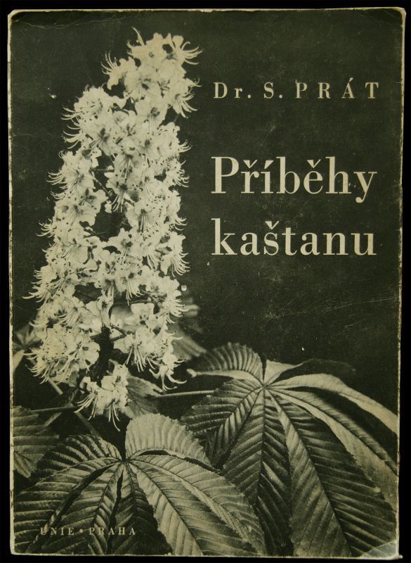 画像1: 再入荷　Dr. Silverstr Prat【Pribehy kastanu】