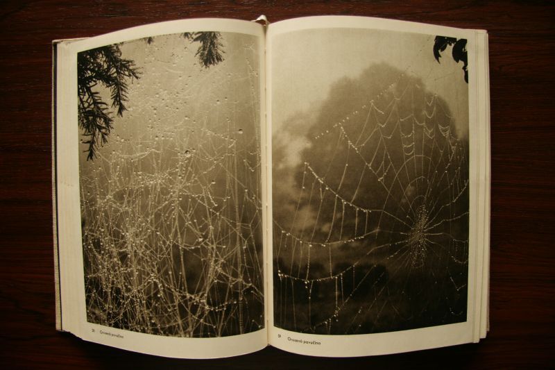 画像: 再入荷　Josef Sudek／ヨゼフ・スデク【Fotografie】