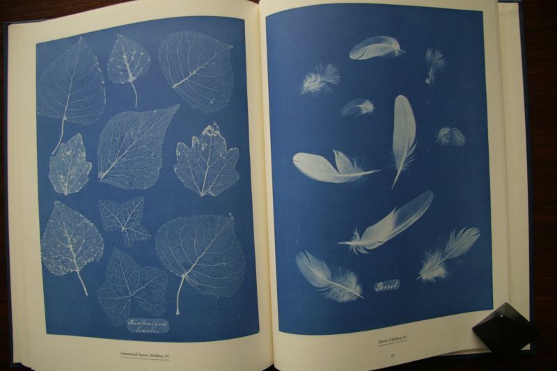 画像: 再入荷　Anna Atkins／アンナ・アトキンス【Sun Gardens】