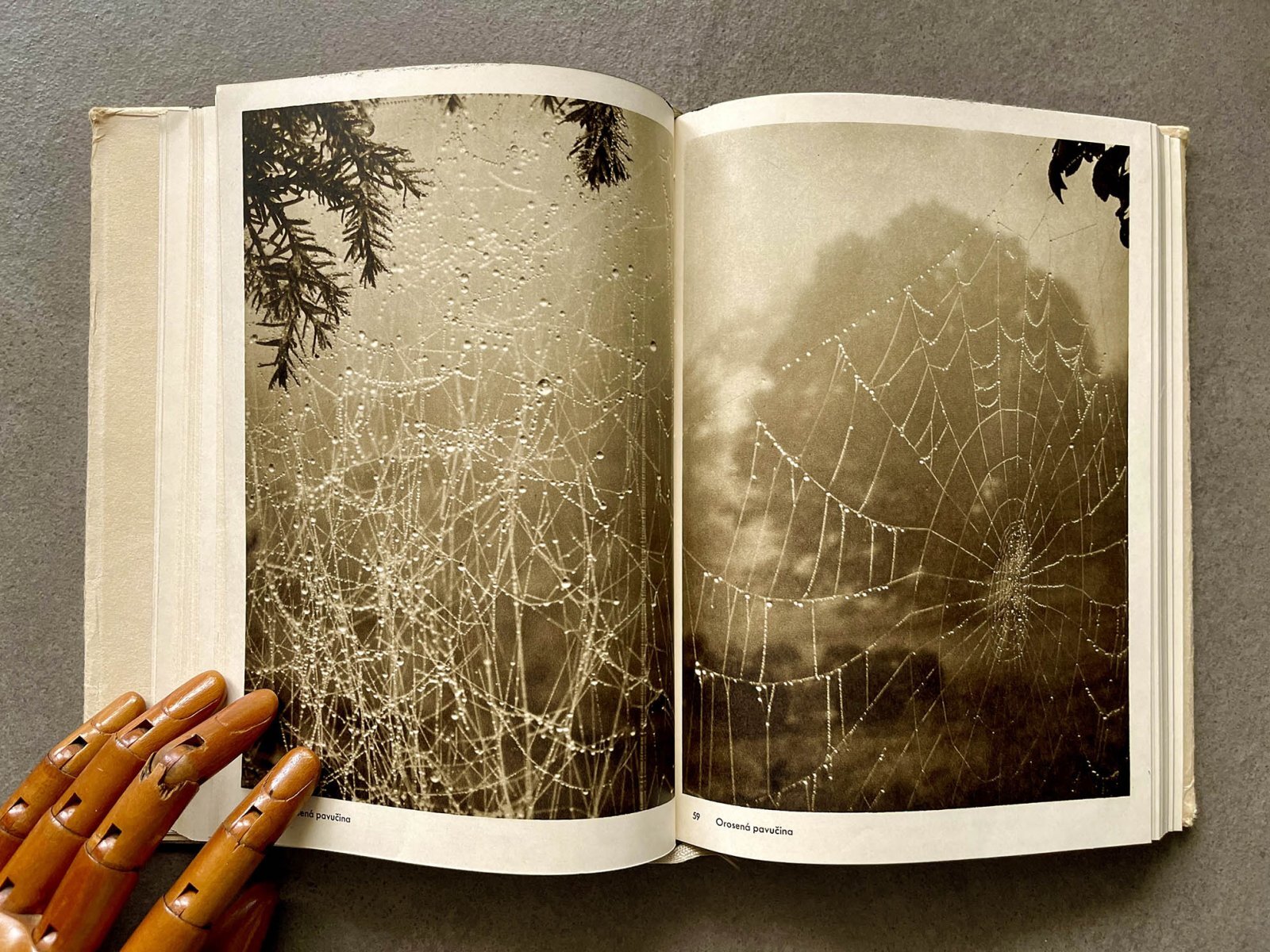 画像: 再入荷 Josef Sudek/ヨゼフ・スデク【Fotografie】