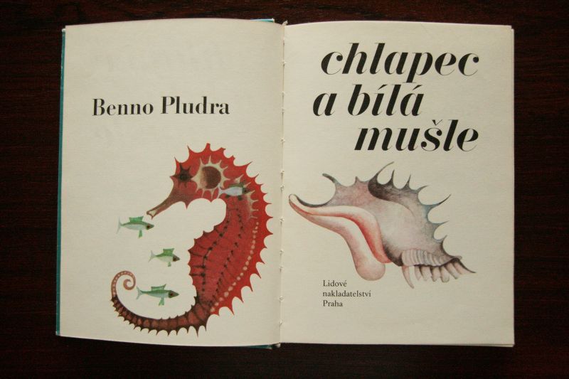 画像: Benno Pludra／Eva Bednarova【chlapec a bila musle】