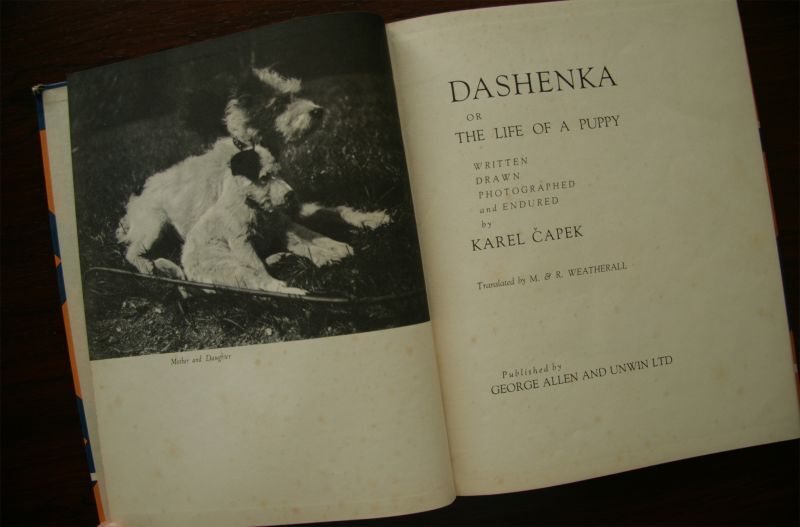 画像: 再入荷　Karel Capek／カレル・チャペック【DASHENKA】ダーシェンカ